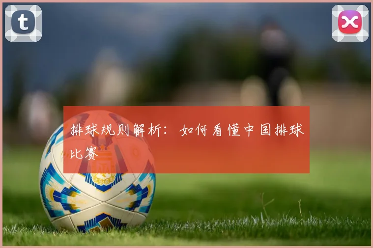 排球规则解析：如何看懂中国排球比赛